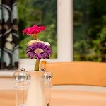 Hostel Yha Butharlyp Howe Grasmere