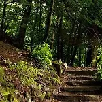Yha Butharlyp Howe *