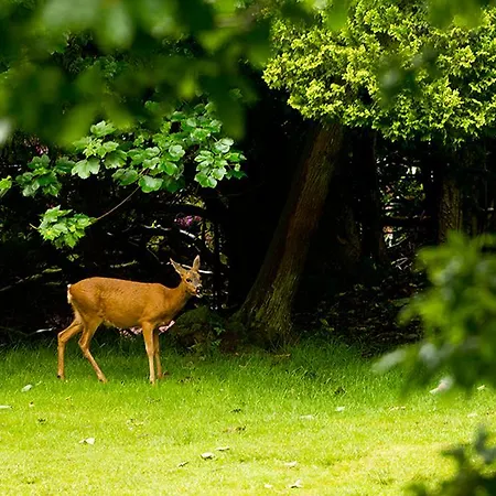 Yha Butharlyp Howe * Grasmere
