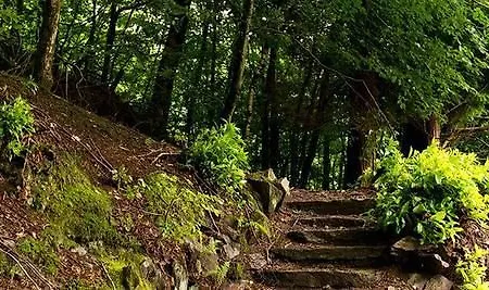 Yha Butharlyp Howe *