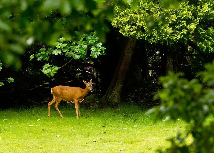 Yha Butharlyp Howe * Grasmere