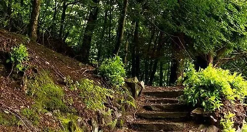 Yha Butharlyp Howe *