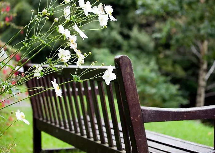 بيت شباب Yha Butharlyp Howe *