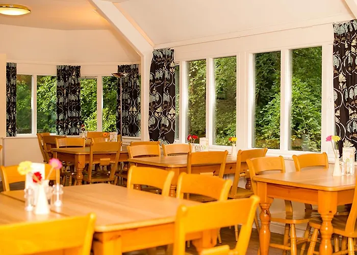 Yha Butharlyp Howe بيت شباب *