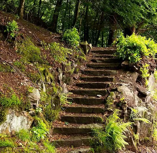 Yha Butharlyp Howe جراسمير